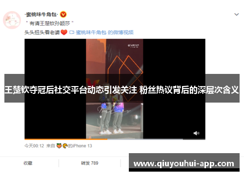 王楚钦夺冠后社交平台动态引发关注 粉丝热议背后的深层次含义