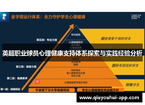 英超职业球员心理健康支持体系探索与实践经验分析