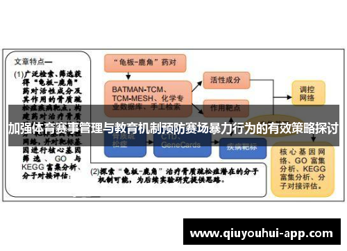 加强体育赛事管理与教育机制预防赛场暴力行为的有效策略探讨