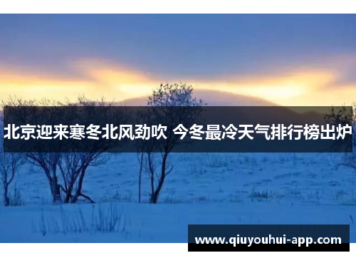 北京迎来寒冬北风劲吹 今冬最冷天气排行榜出炉