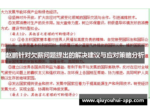 赵鹏针对欠薪问题提出的解决建议与应对策略分析